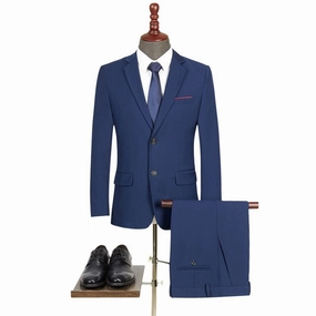 West Louis? Slim Fit Elegant Business Style 2 Piece Suit Group Mood