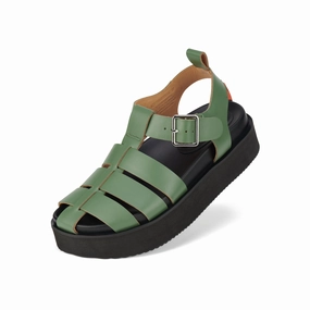 Ace Fisherman Fern/Black tassel Mold resistant