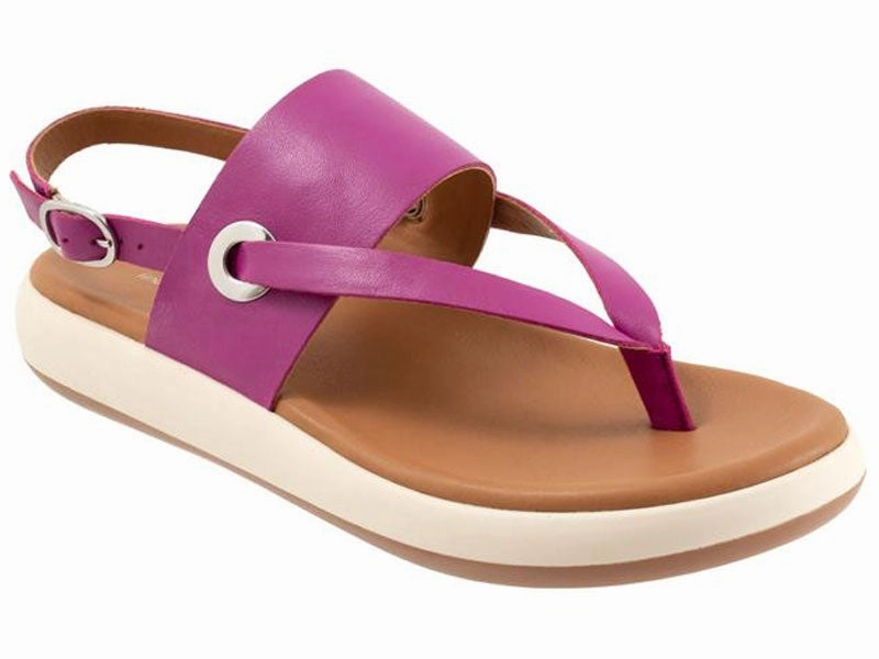 Softwalk Joliet - Women's Sandal Magenta (664) Chic Motion Light Arch