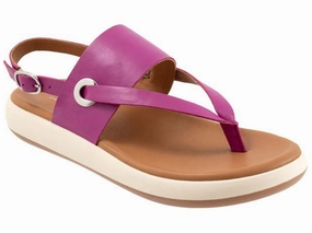 Softwalk Joliet - Women's Sandal Magenta (664) Wander Wear Sponge Padding