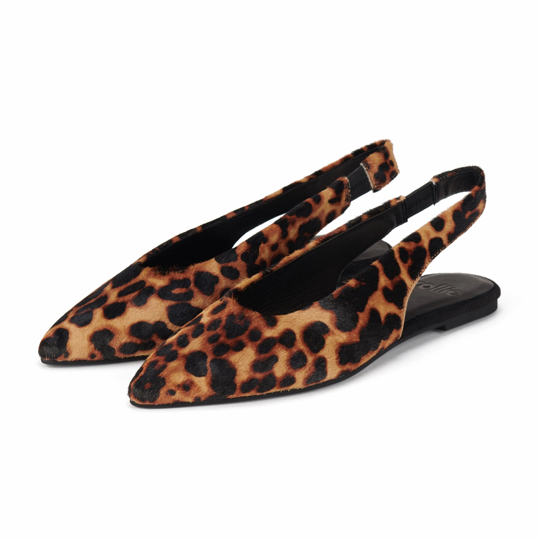 Pointed Slingback Dark Camel Leopard Daily Moves