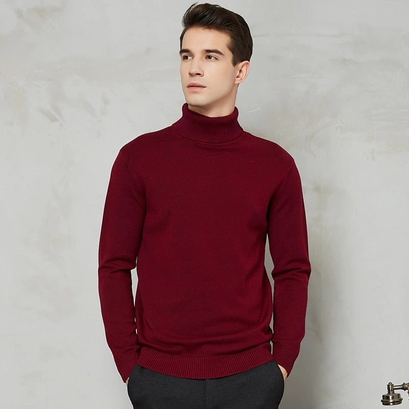 Travel Light Fit Low Profile Collar Handsome 8 Color Turtleneck Sweater