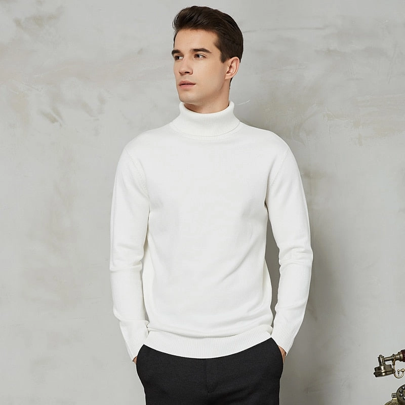 Handsome 8 Color Turtleneck Sweater Buttery Soft Handfeel Sleek Casual