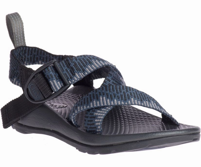 Chaco Z/1 EcoTread Kid's most trendy